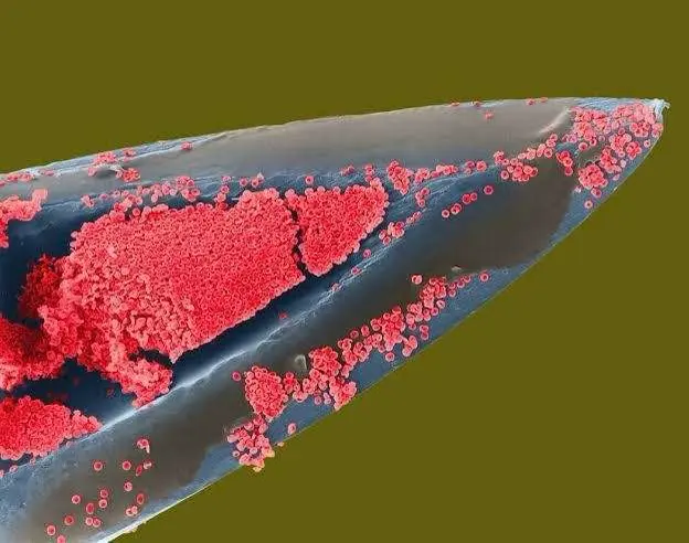 Hypodermic needle with red blood cells…