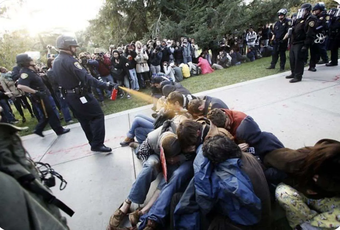 The UC Davis pepper spray incident…