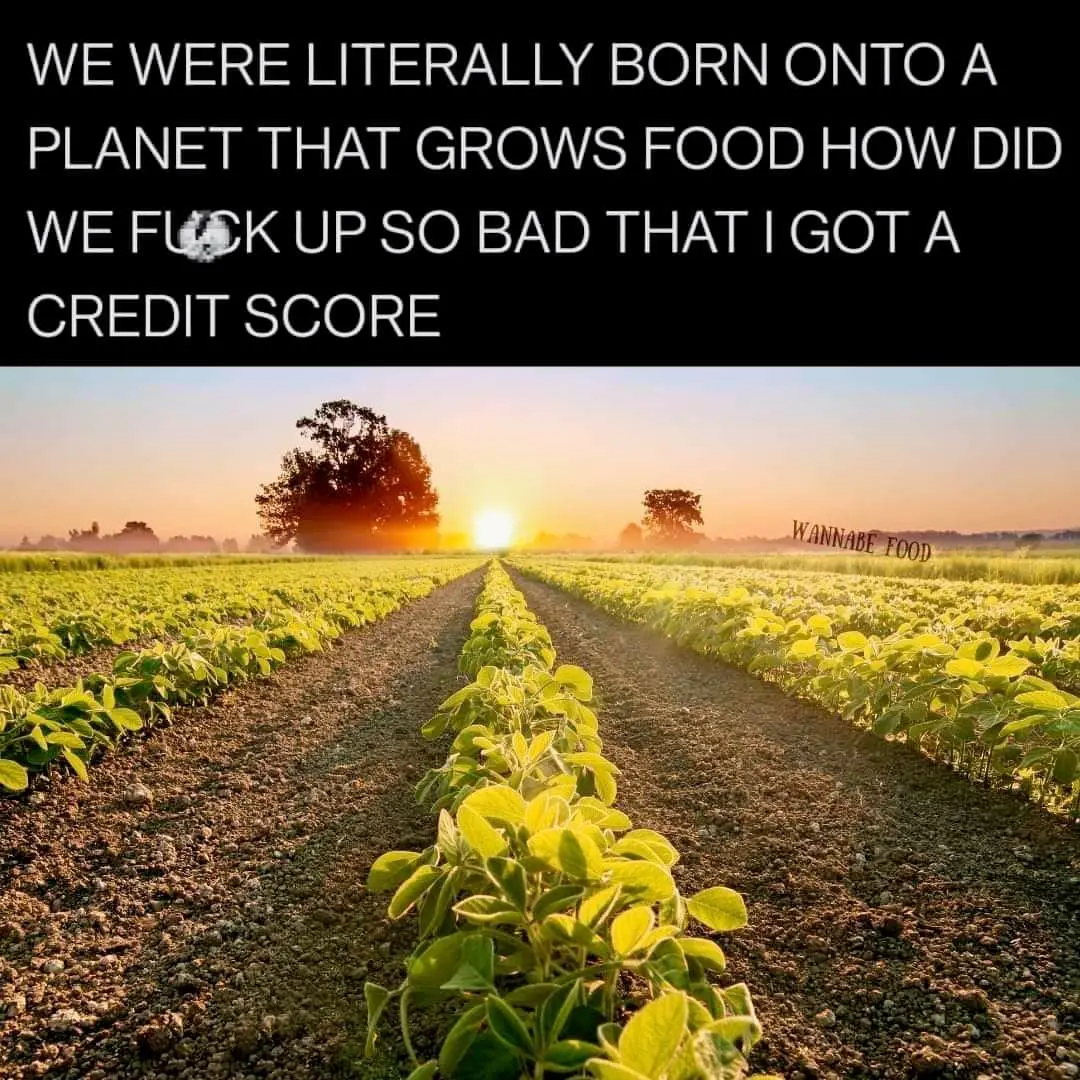 #meme #grownostr